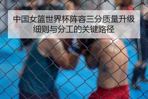 中国女篮世界杯阵容三分质量升级细则与分工的关键路径
